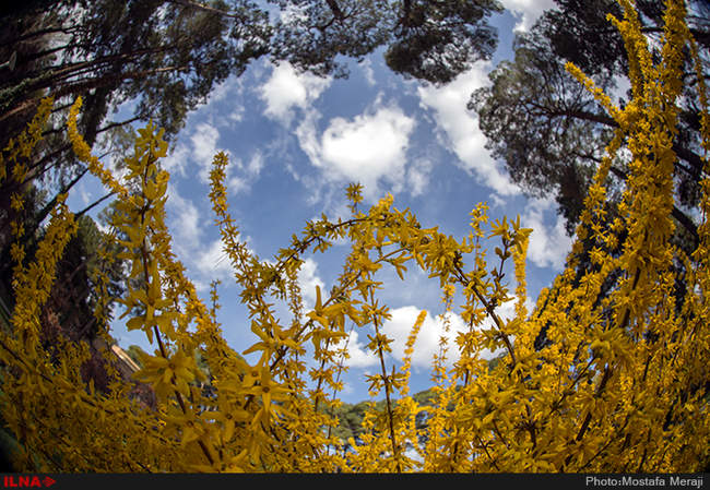 استقبال از بهار در اصفهان