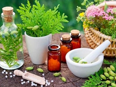 درآمد حاصل از صادرات گیاهان دارویی می‌تواند جایگزین درآمدهای نفتی شود