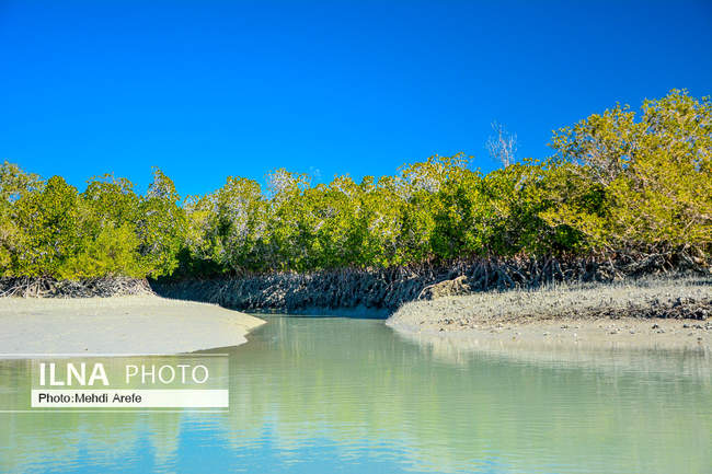 طبیعت دیدنی خور آذینی در شهرستان سیریک استان هرمزگان