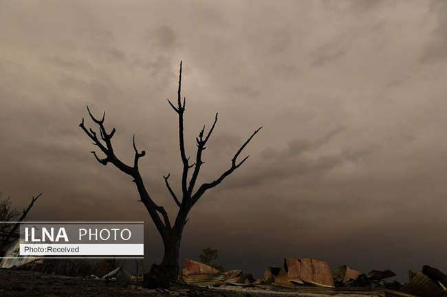 چهره ی استرالیا پس از آتش سوزی