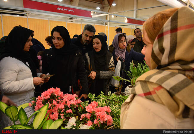 نمایشگاه گل و گیاه در استان قزوین