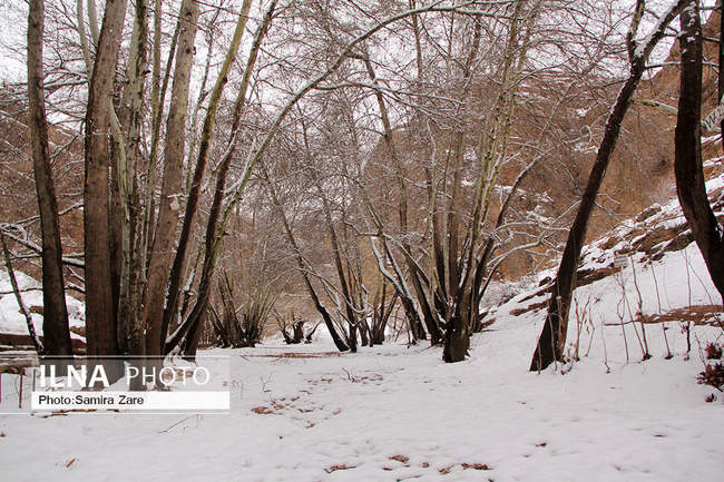 طبیعت برفی روستای قلات