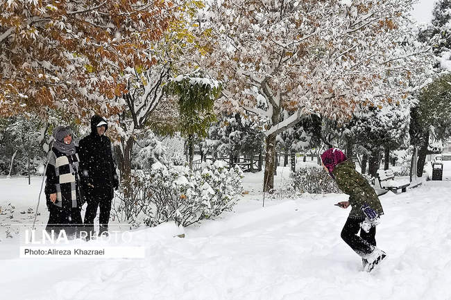 بارش برف پاییزی در تهران/ 2