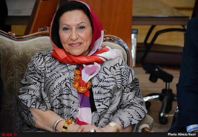 نشست استاندار قزوین با رئیس آسیا و اقیانوسیه شورای جهانی صنایع دستی