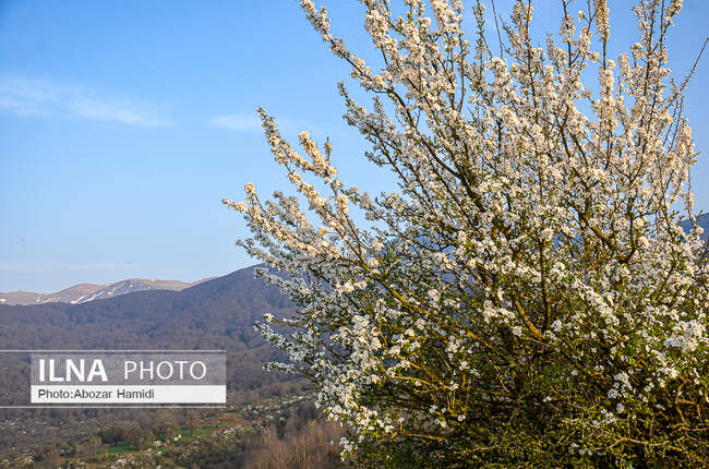 طبیعت بهاری رودبار گیلان