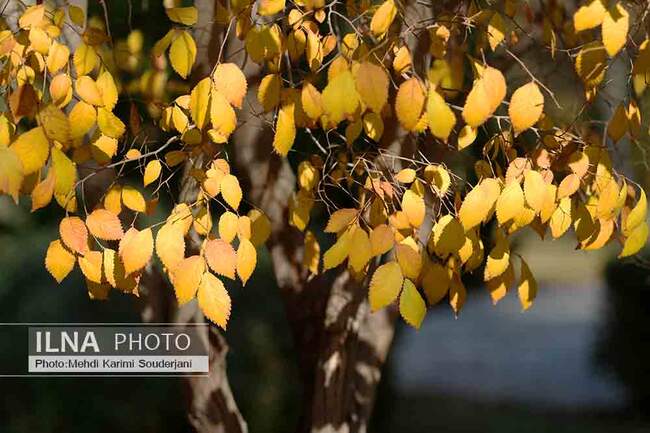 IMG_1683 copy