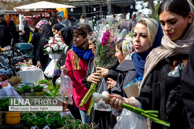 رد پای بهار در بازار گل شهید محلاتی