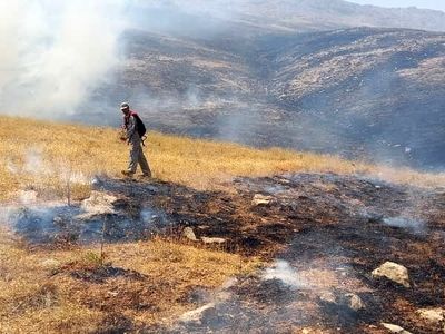 بی‌احتیاطی گردشگران ‌از مهم‌ترین دلایل آتش‌سوزی در مناطق حفاظت‌ شده است