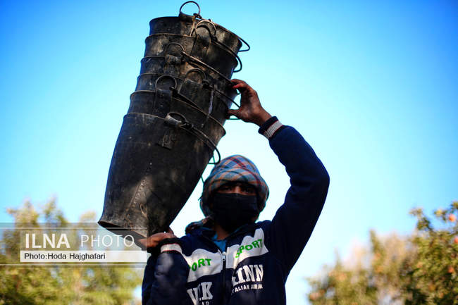 برداشت گلابی از باغات چناران