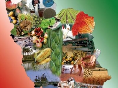 بهره‌برداری از 3037 پروژه تولیدی و زیربنایی بخش کشاورزی در هفته دولت 