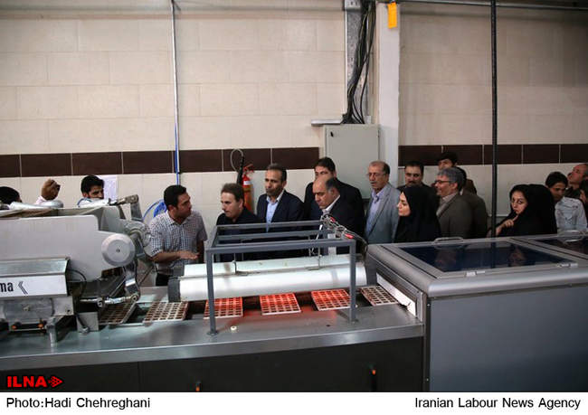 بازدید اعضای سازمان صنایع کوچک وشهرک‌های صنعتی ایران از کارخانجات د