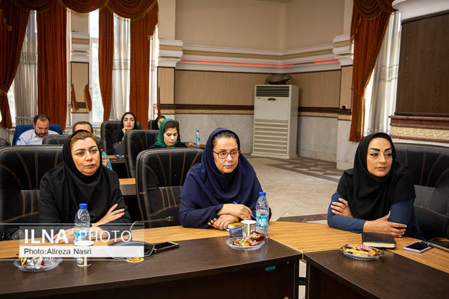 همایش حقوق رسانه و صیانت از مقام خبرنگار در قانون