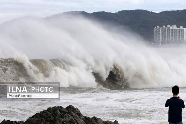 طوفان هینامنور در کره جنوبی 