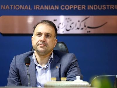 تأکید مدیرعامل شرکت ملی صنایع مس ایران بر رویکرد تسهیل‌گرانه برای شتاب‌بخشی به پروژه‌های ملی مس
