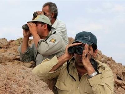 درگیری متخلفان با محیط‌بانان لرستانی