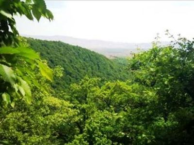 دختر بچه 7 ساله در جنگل های کالپوش مفقود شد / عملیات جستجو ادامه دارد
