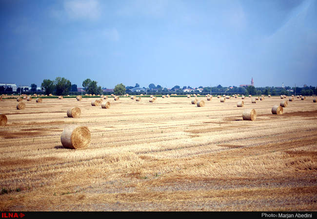 گزارش اختصاصی ایلنا از جاذبه های گردشگری ایتالیا