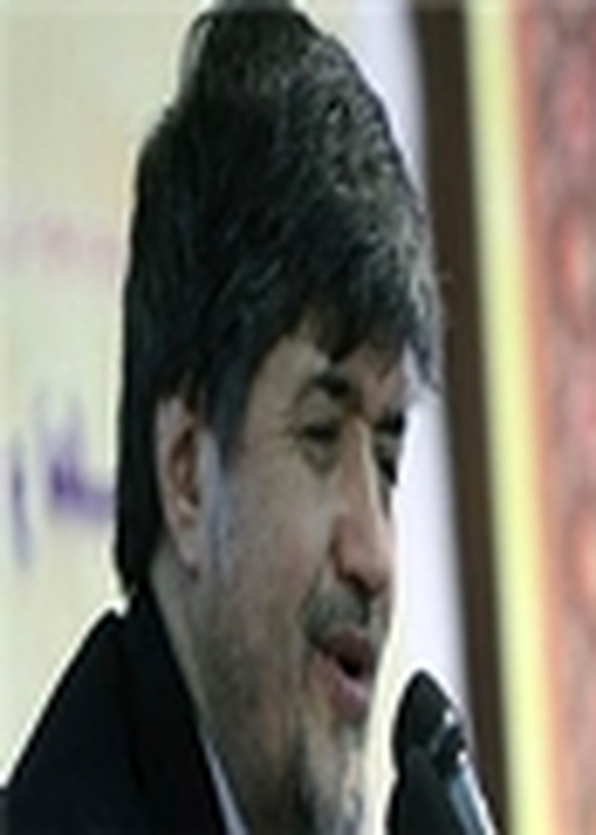 آثار شهید مطهری آثار تعادل است / درد شهید مطهری، درد دین بود