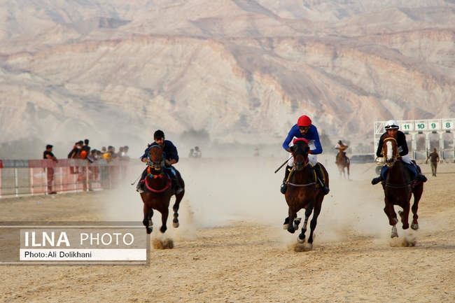 یازدهمین کورس اسب دوانی جنوب کشور به میزبانی هرمزگان