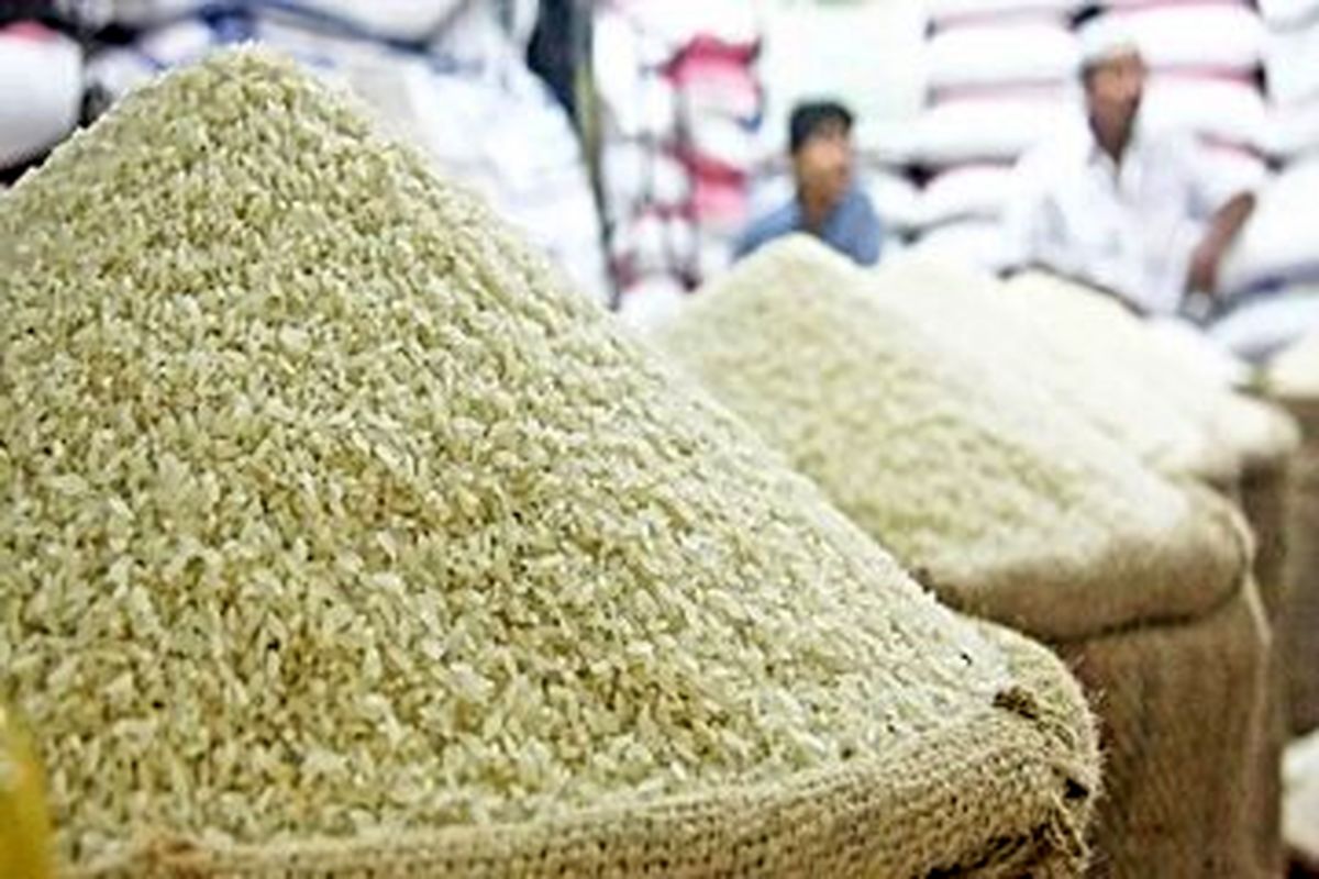 مسئولان وعده می‌دهند؛ قیمت برنج اما هر روز بالاتر می رود / گرانفروش واقعی کیست؟