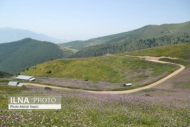 ییلاقات سلانسر