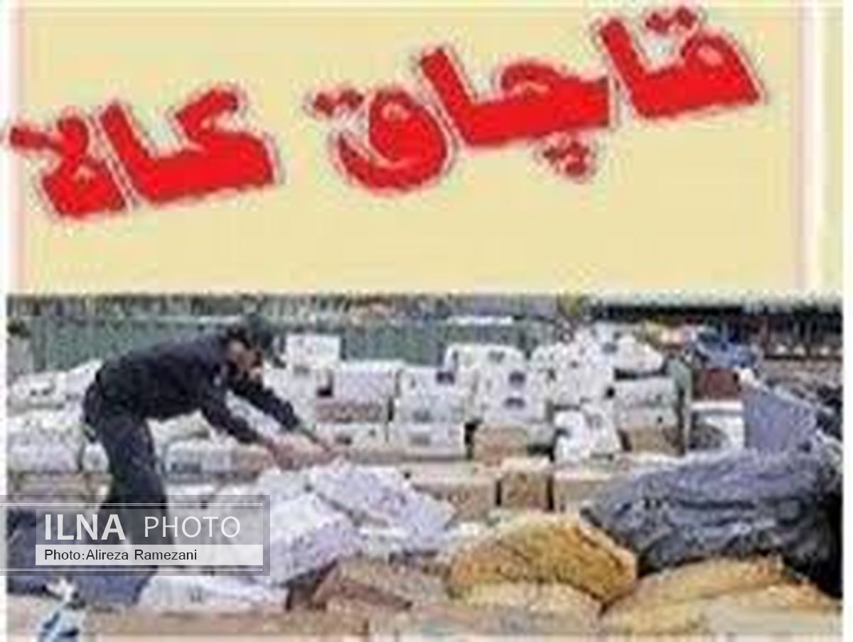 افزایش65 درصدی کشفیات کالای قاچاق در هرمزگان