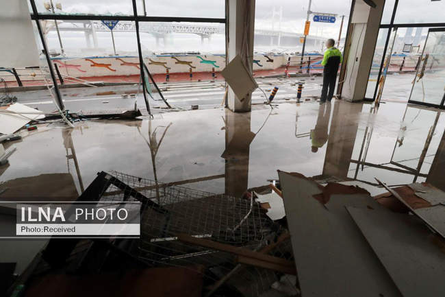 طوفان هینامنور در کره جنوبی 