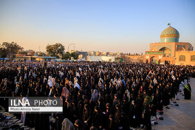 اقامه نماز باران در قزوین از دریچه دوربین ایلنا