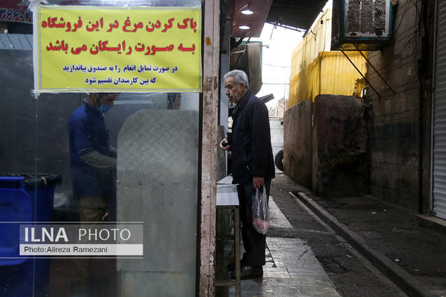 چه خبر از بازار مرغ؟!