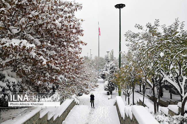 بارش برف پاییزی در تهران/ 2