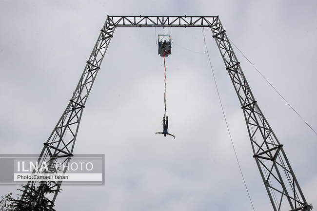 چشم انداز جنگل و دریا در قاب طبیعت