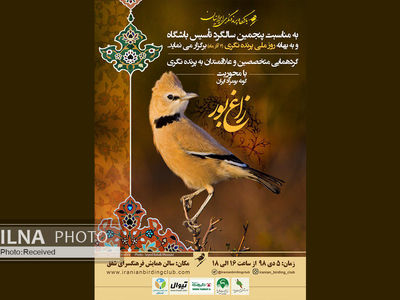 گرامیداشت روز ملی پرنده‌نگری در پایتخت