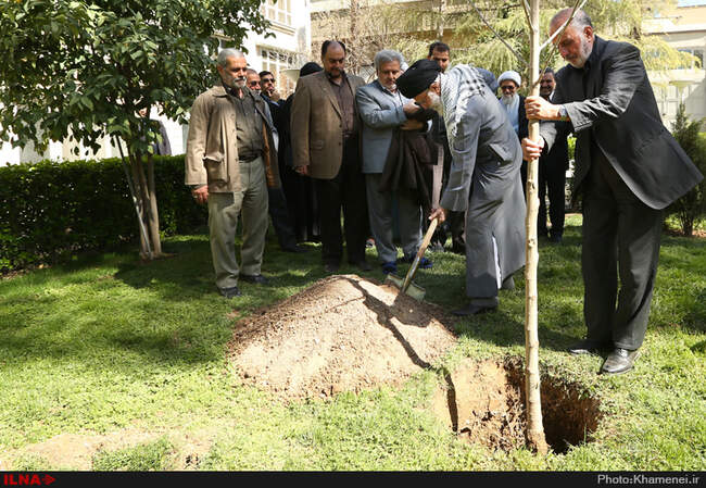 کاشت نهال توسط مقام معظم رهبری در هفته منابع طبیعی
