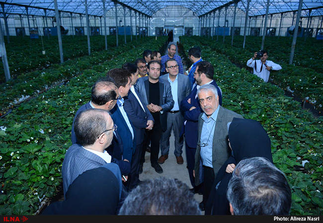 سفر یک روزه معاون توسعه روستایی کشور به قزوین