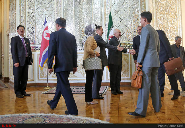 دیدار وزیر خارجه کره شمالی با محمدجواد ظریف