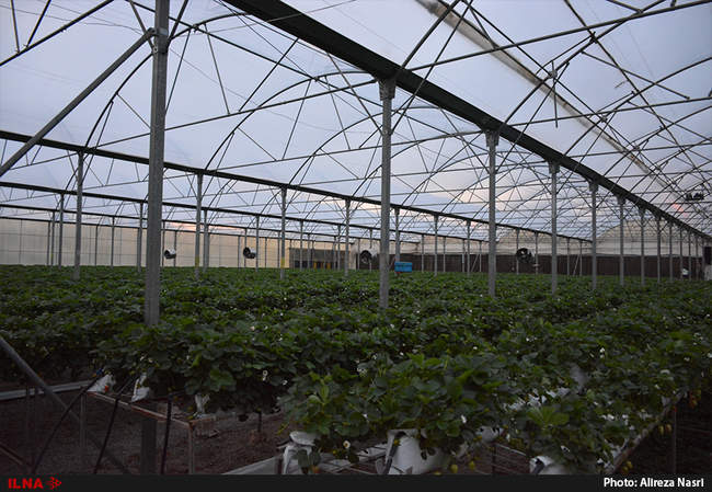 سفر یک روزه معاون توسعه روستایی کشور به قزوین