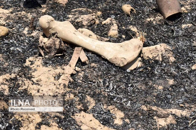 کشف گور دسته‌جمعی پر از استخوان‌ و لباس‌ 