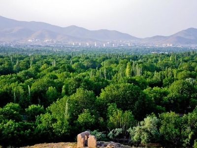 شناسنامه‌دار شدن باغات و اراضی اراک ضروری است 