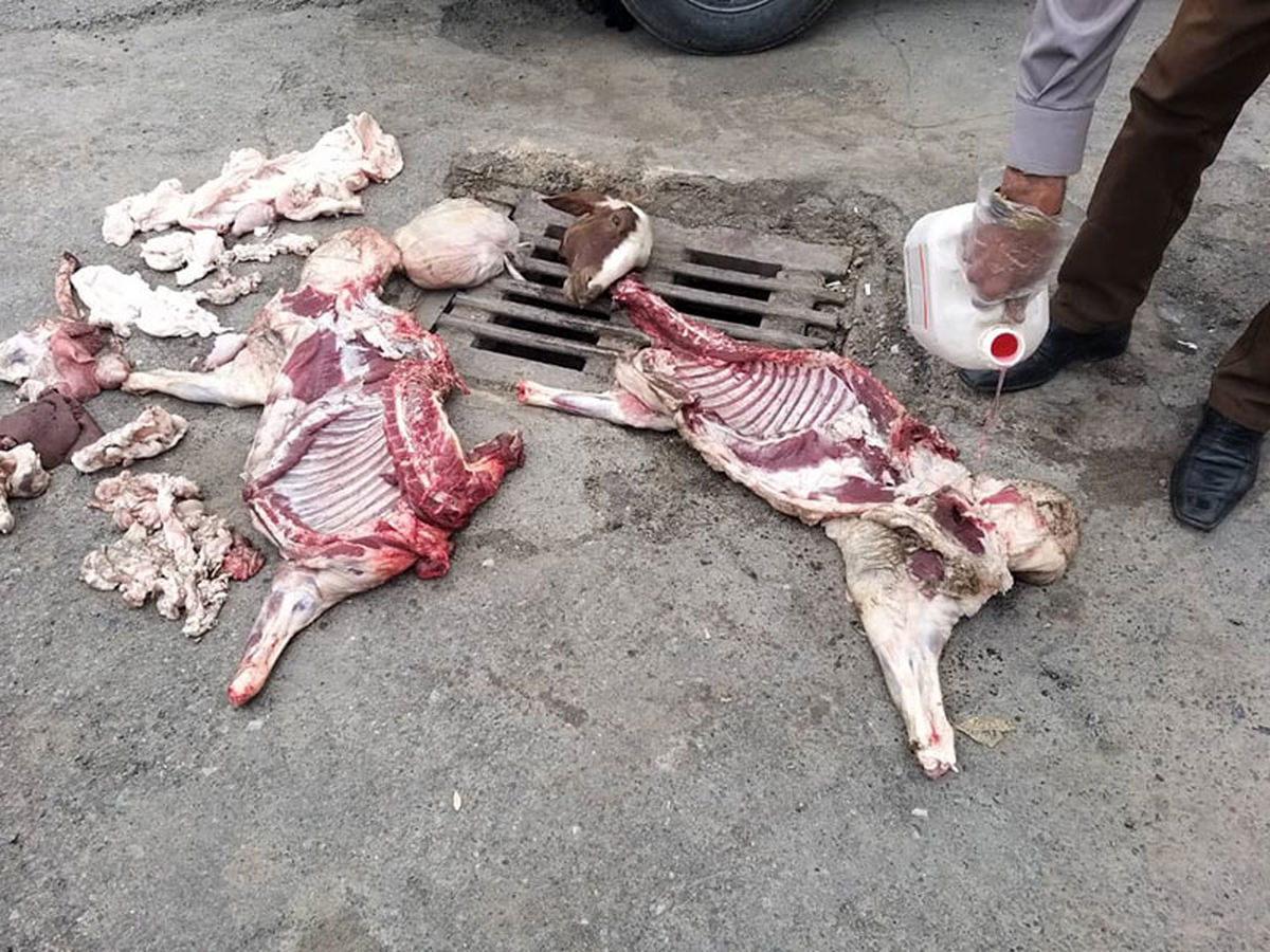 توقیف عرضه لاشه‌های غیر بهداشتی دام در میدان رسالت کرمانشاه  شد/حمله متخلفان به ماموران