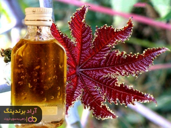 چرا از روغن کرچک خوراکی در طب سنتی استفاده می شود؟