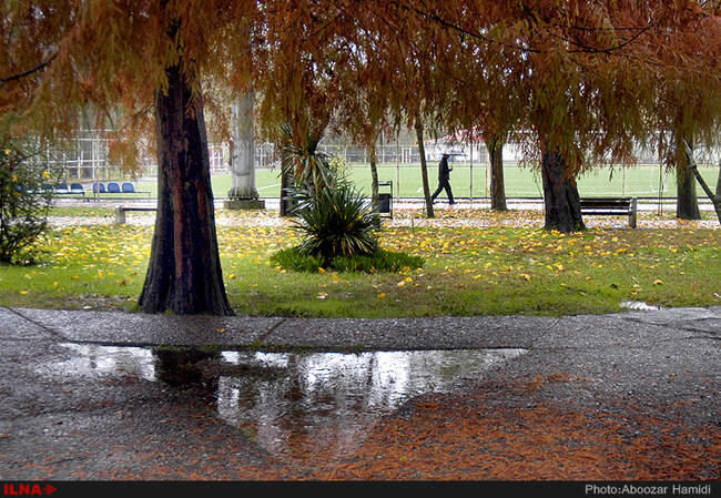 بارش باران در رشت