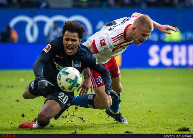 Hamburg-Hertha-24