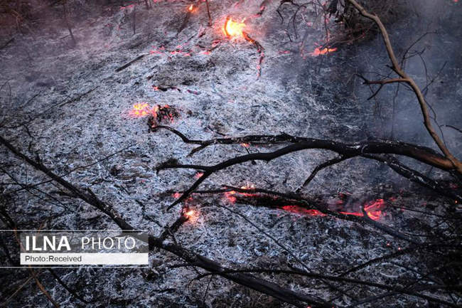 آتش سوزی در جنگل های آمازون