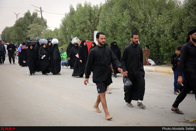 راهپیمایی اربعین از نجف تا کربلا 1