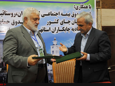 چایکاران بیمه می‌شوند/واعظ‌مهدوی: نگرش تولیدمحور، توسعه را شتاب می‌دهد