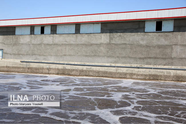 بازدید خبرنگاران از سه پروژه زیست محیطی بناب 