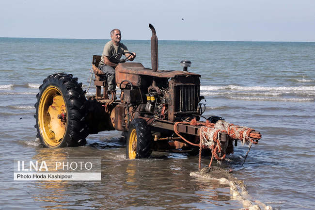 صید پاییزه ماهی در دریای خزر