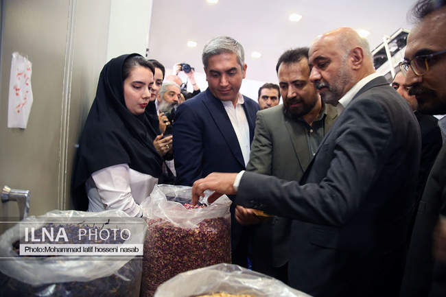 سفر وزیر تعاون، کار و رفاه اجتماعی به استان کردستان