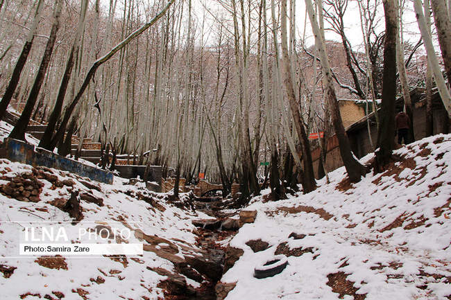 طبیعت برفی روستای قلات
