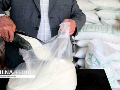 ۱۲ متخلف صنفی شکر در قزوین شناسایی شدند